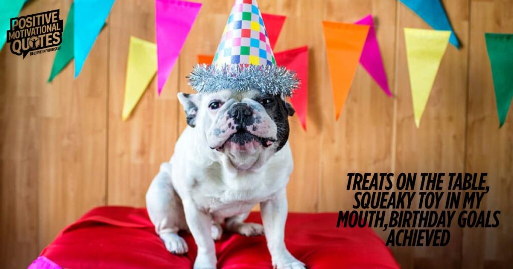 Birthday Captions from a Dog’s Point of View