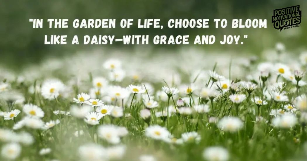 DAISY CAPTIONS And QUOTES To Celebrate Life's Wisdom