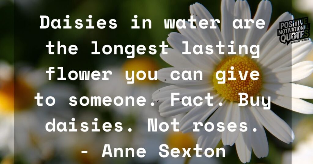 Daisy Captions and Quotes