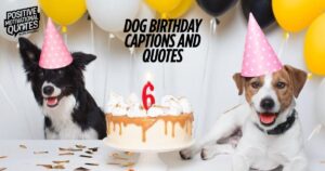 Dog Birthday Captions And Quotes