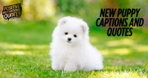 New Puppy Captions and Quotes