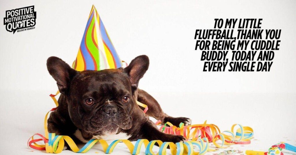 Puppy Love Notes Cute and Heartfelt Dog Birthday Captions and Quotes