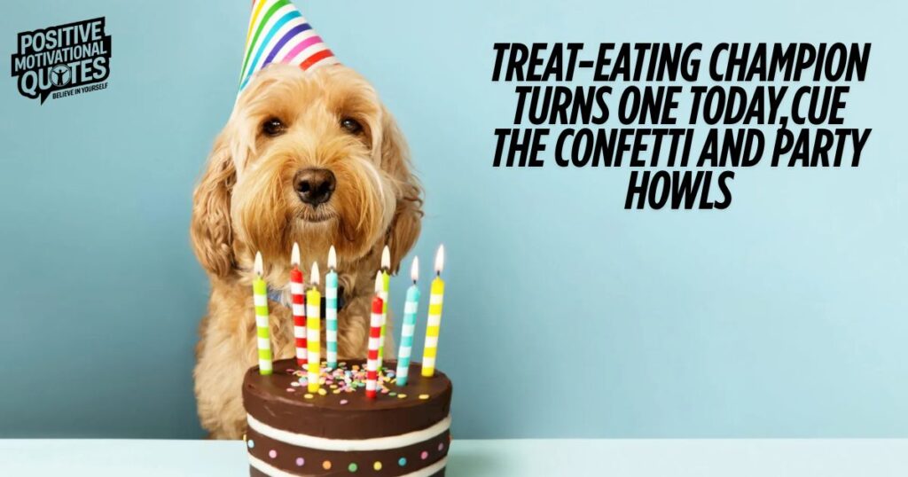 Puppy Paw-ty Time Dog Birthday Bash Captions and Quotes