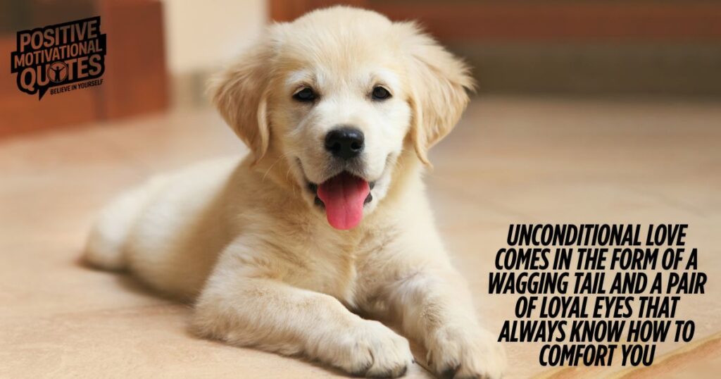 Quotes on the Unconditional Love of Puppies
