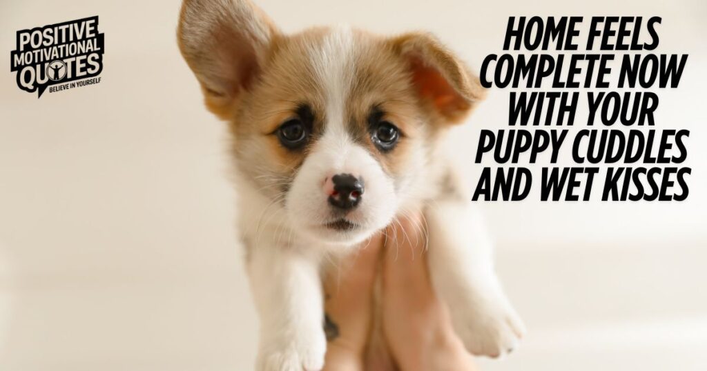 Welcoming New Puppy Captions and Quotes