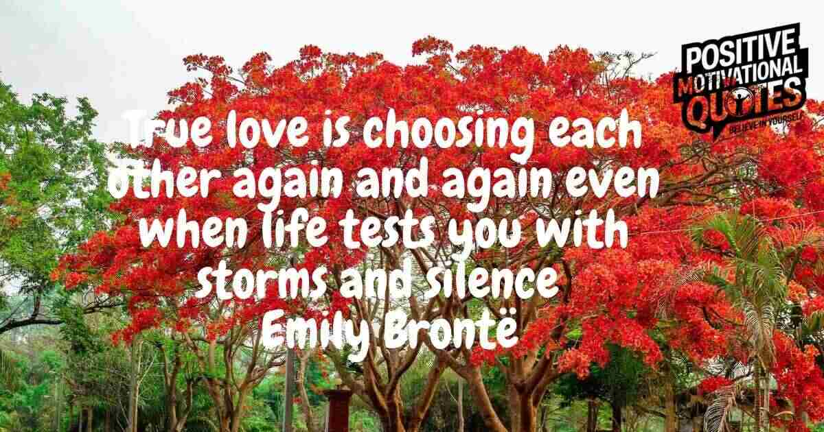 130 Power of Love Quotes to Uplift Your Soul