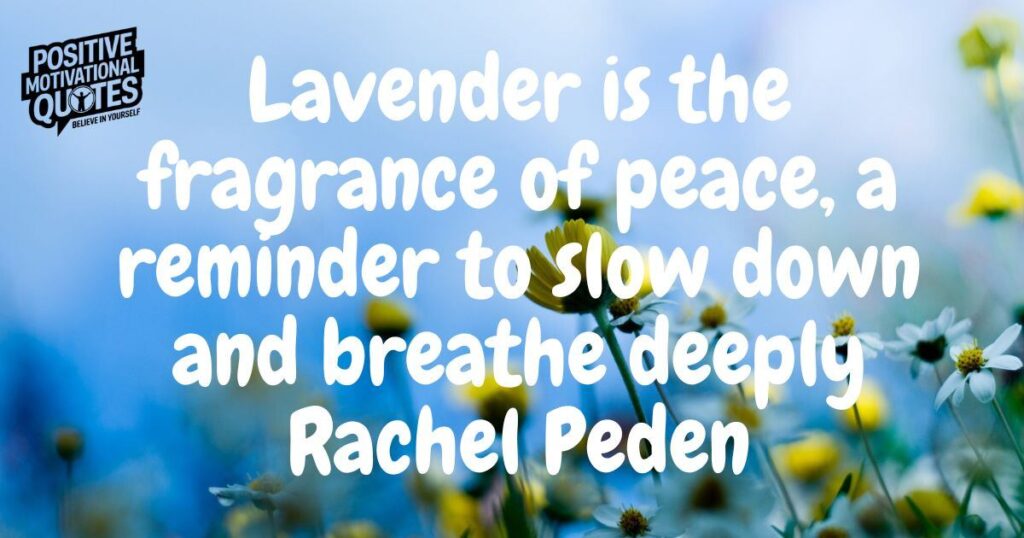 30 Best Lavender Quotes