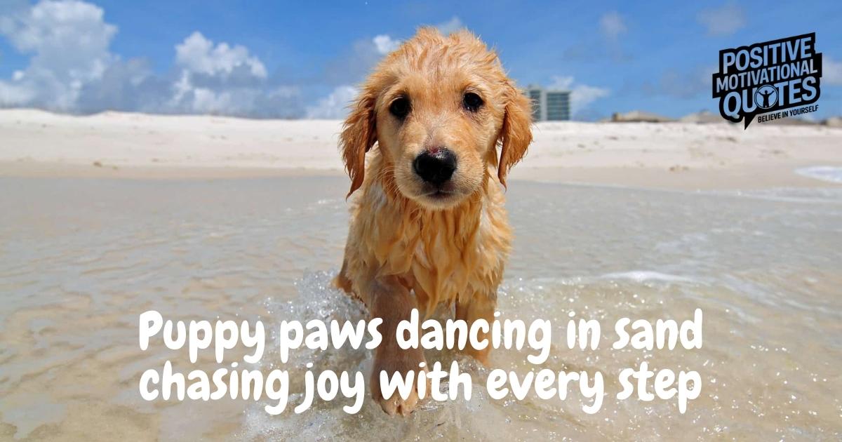 Beach Dog Quotes