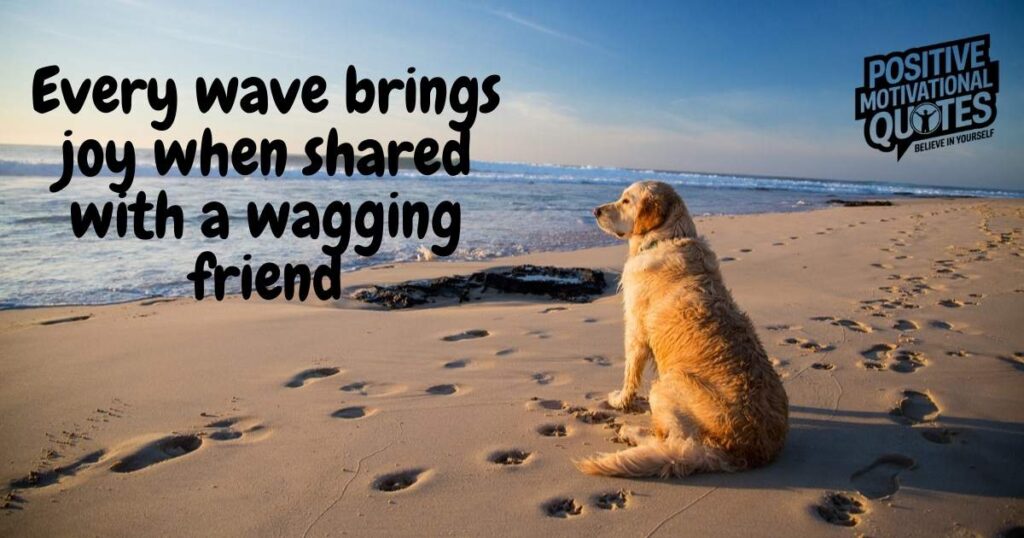 Beach Quotes Every Dog Lover Needs