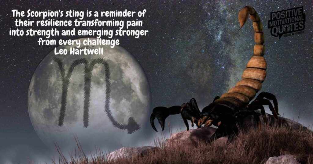 Best Scorpio Quotes on Scorpion of the Zodiac