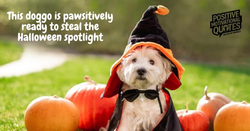 Costumed Canines & Creepy-Cute Vibes Sayings for Every Spooky Pup Look