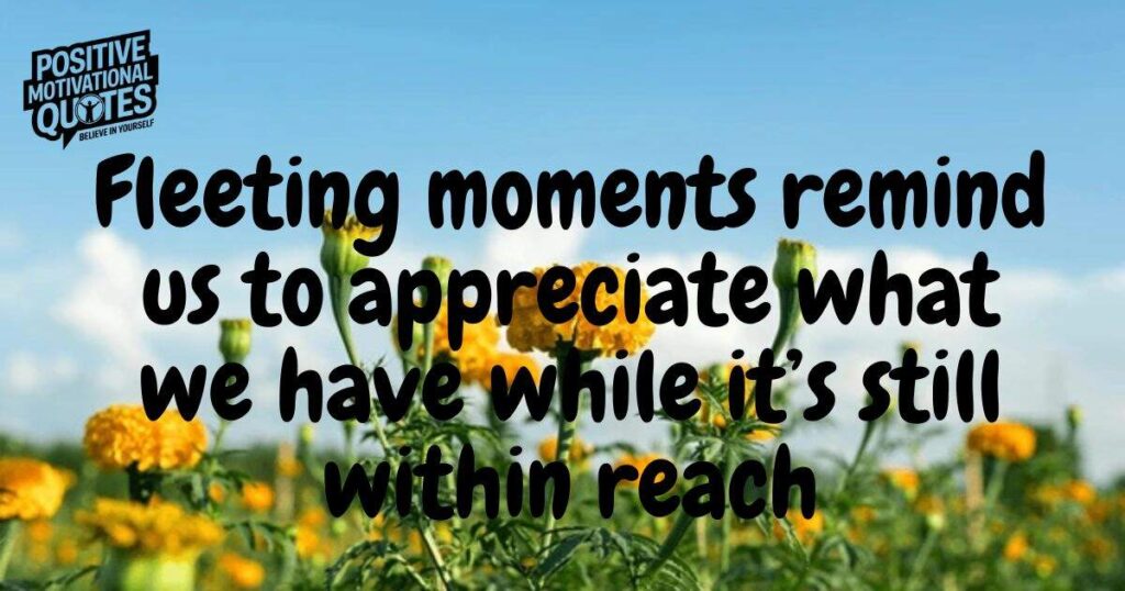 Ephemeral Truths Powerful Quotes About Fleeting Moments