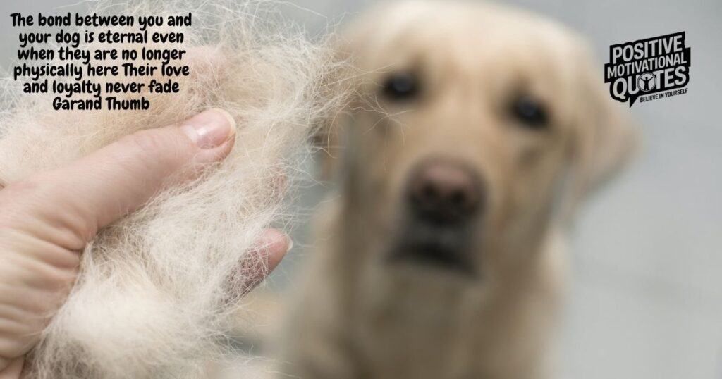 Eternal Bonds Quotes About Losing a Dog