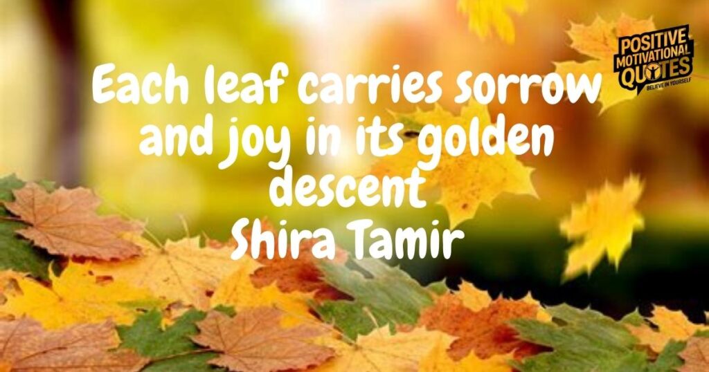 From Trees to Hearts Emotional and Aesthetic Falling Leaves Quotes