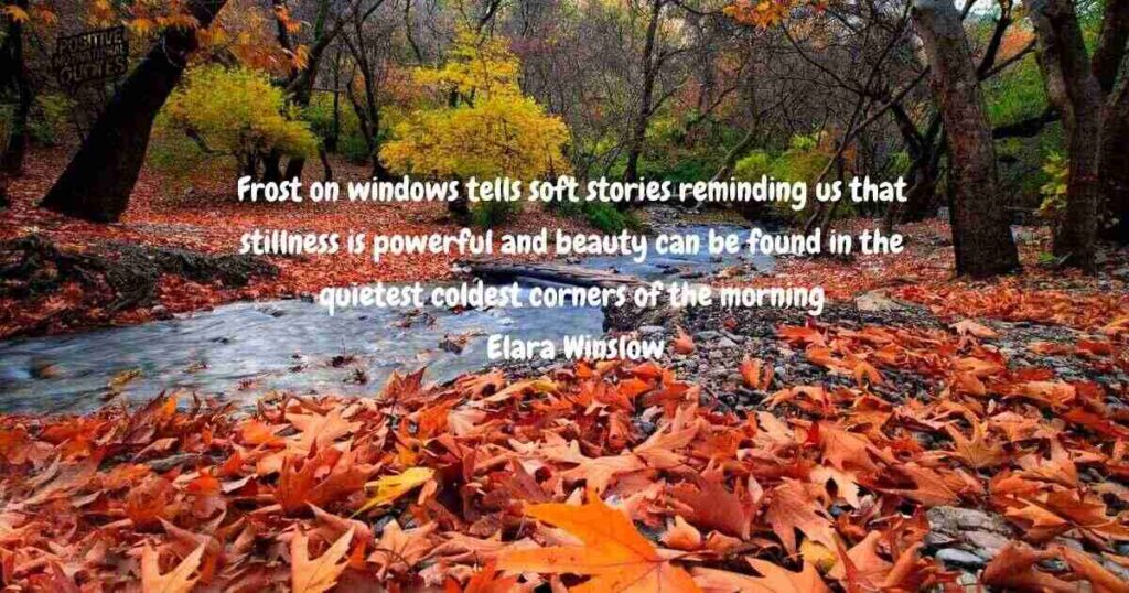 Frost-Kissed Reflections