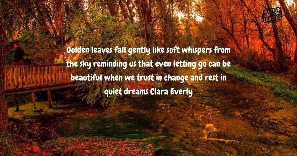 Golden Leaves & Quiet Dreams