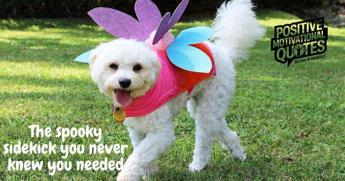Halloween Dog Costume