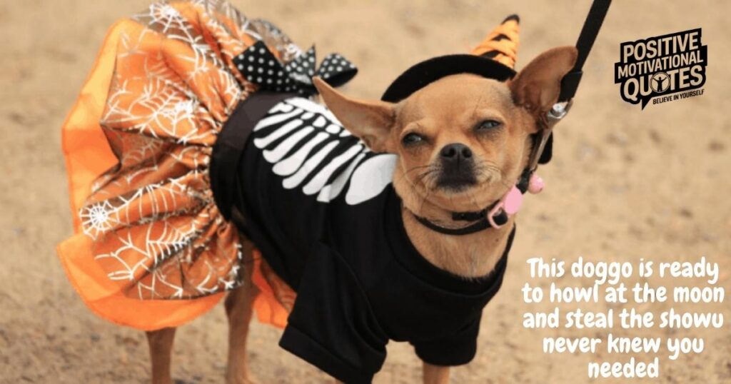 Howl-O-Ween Tails Captions That’ll Make Your Pup the Star