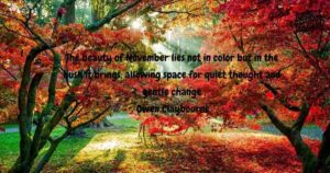 November Quotes