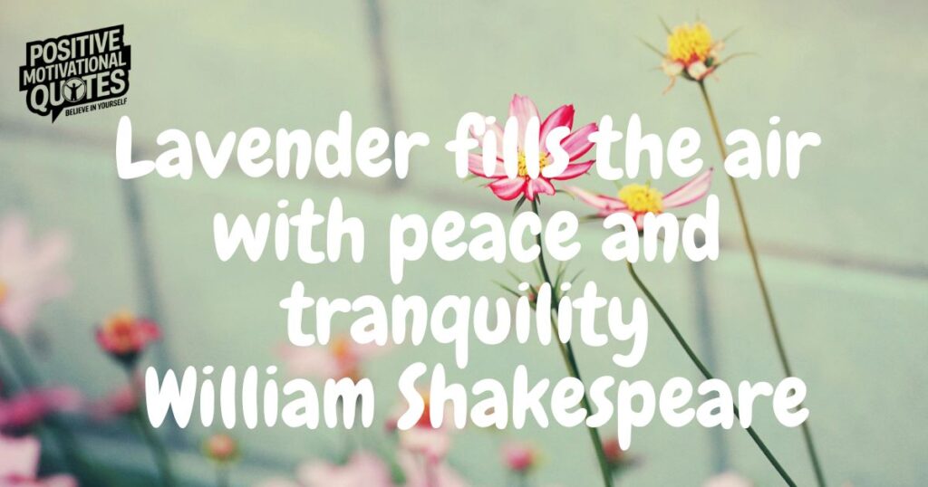 Short Lavender Quotes