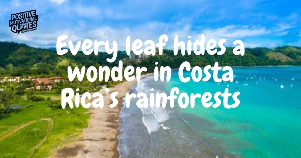 Wildlife Wonders of Costa Rica